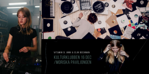 kulturklubben lund elin beckman Unni Berggren vitamin d Malmö disco underground house klubb